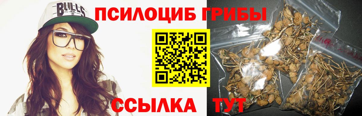Бугульма  Галлюциногенные грибы Cubensis  Галлюциногенные грибы ЛСД  Вход с VPN 
